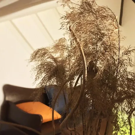 The Rock אכסניה *